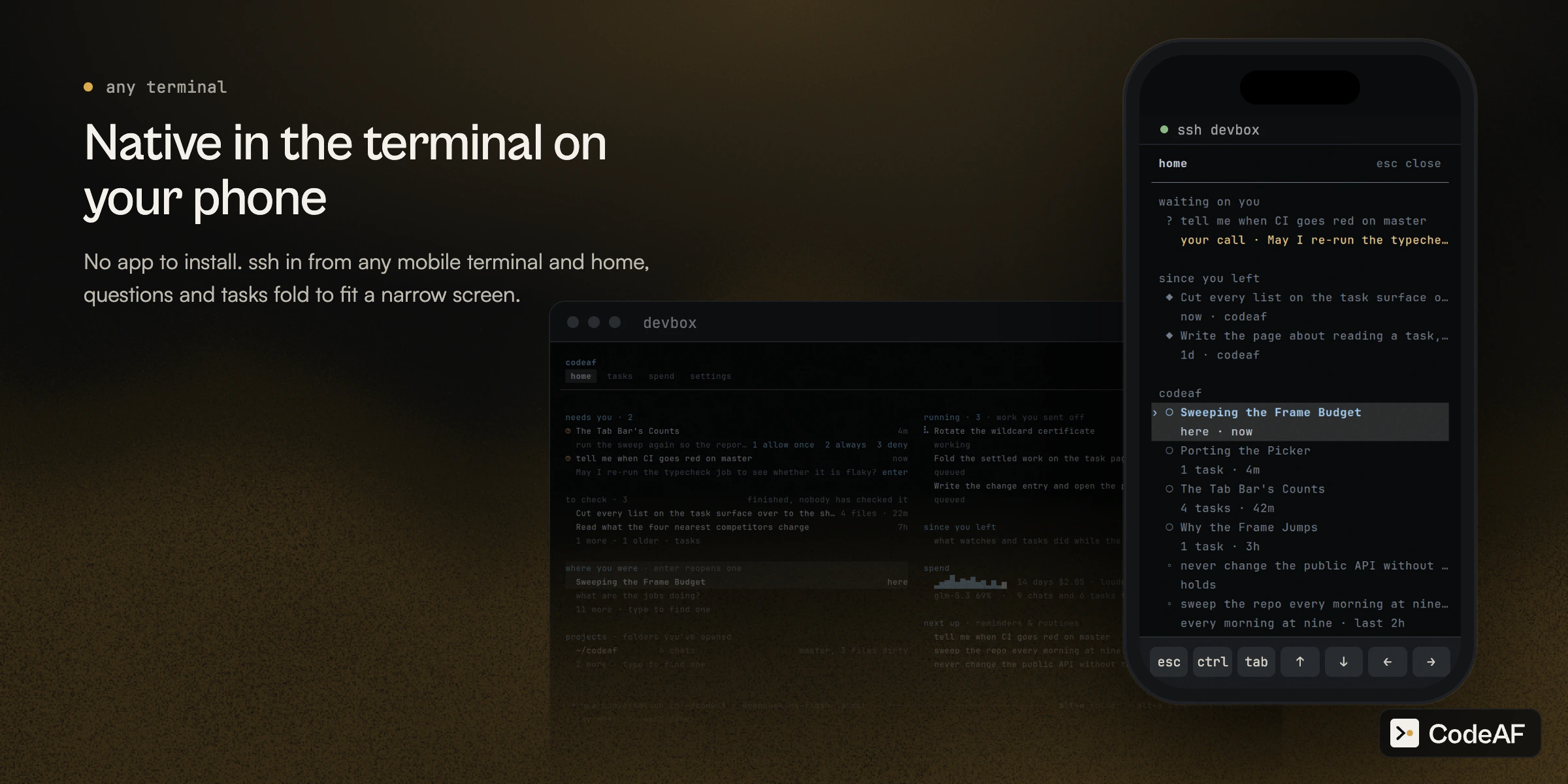 Native in the terminal on your phone: CodeAF home at phone width inside a mobile terminal over ssh, beside the same home on a wide screen