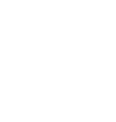 B-Ted Logo