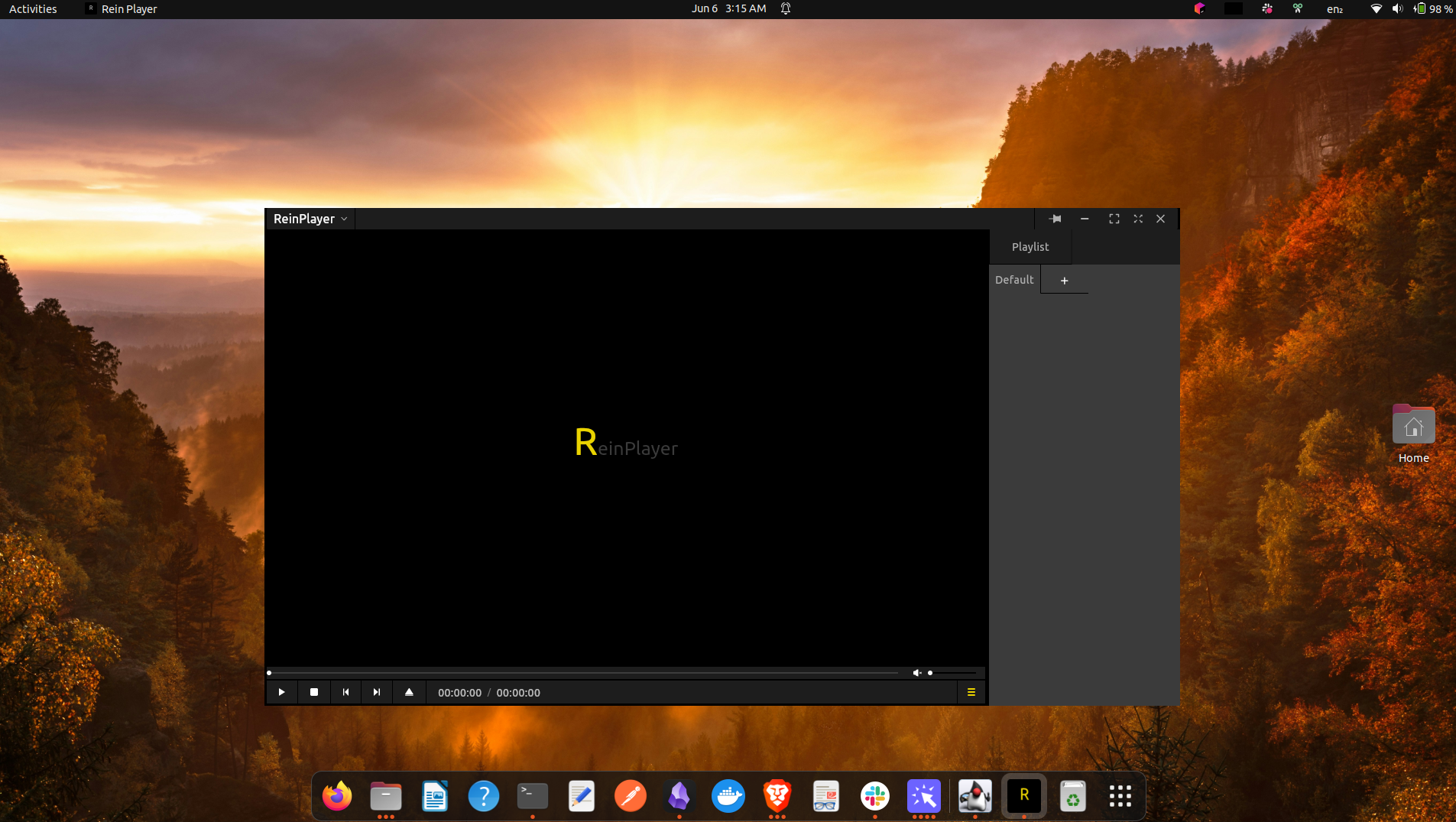 ReinPlayer Display Image