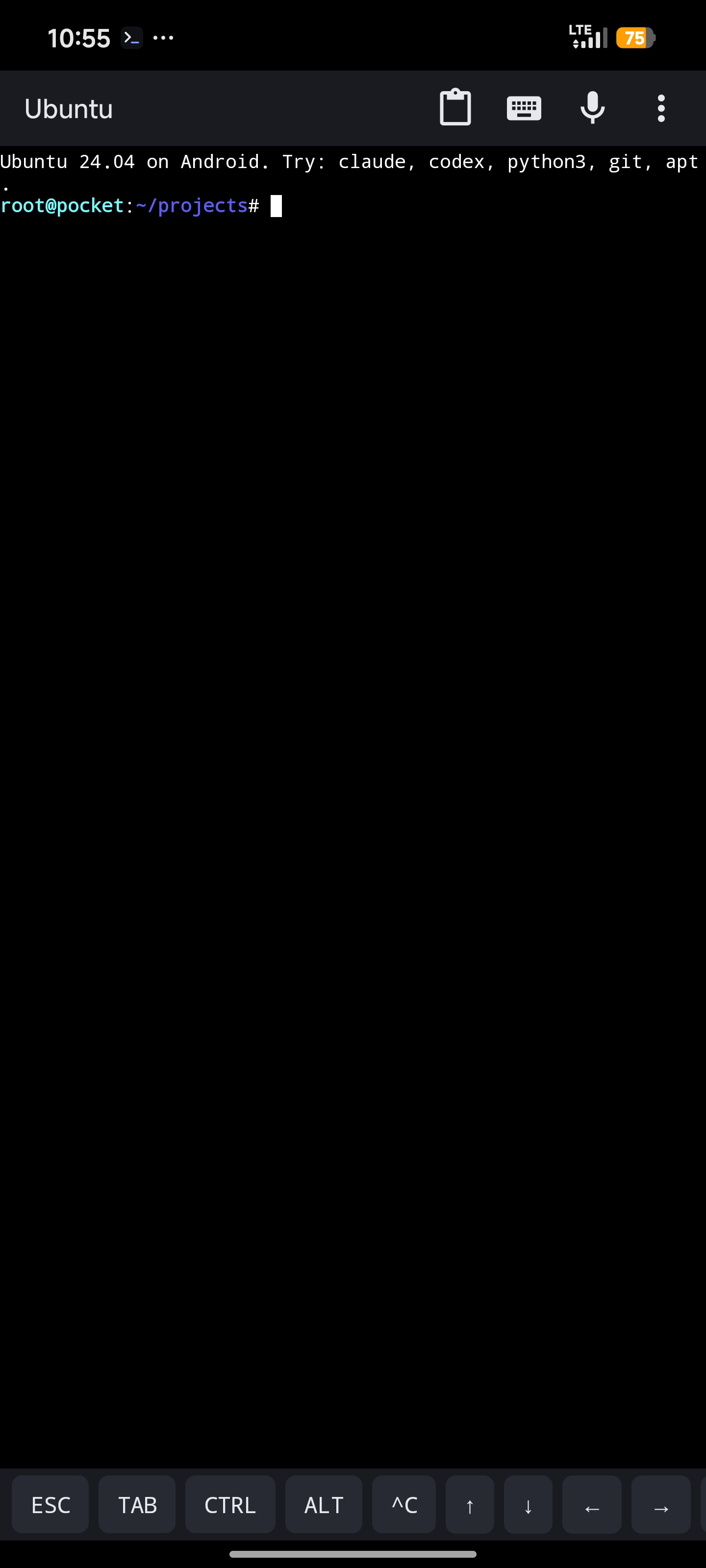 Ubuntu shell on the phone