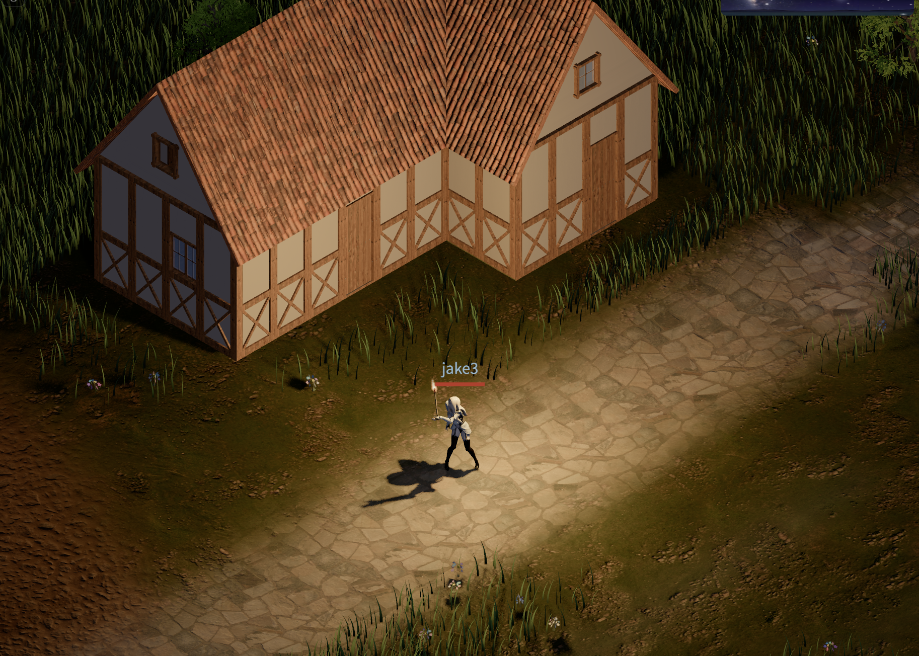 Night scene with torch lighting