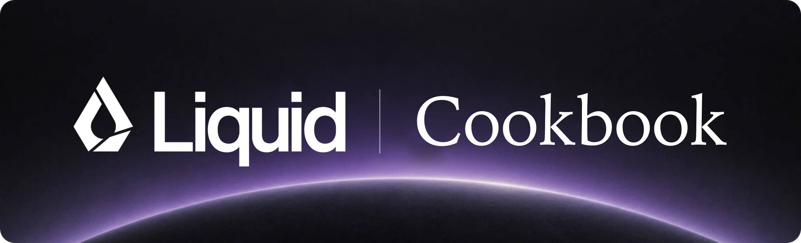 Liquid AI Cookbook