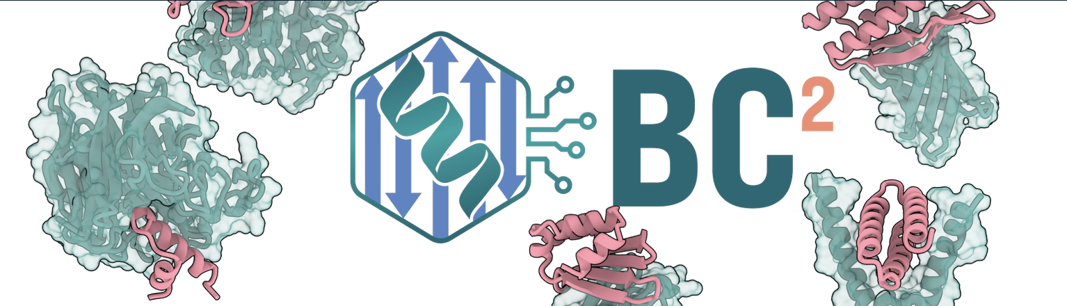 BC2 — protein binder design