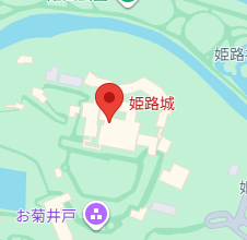 输入图片