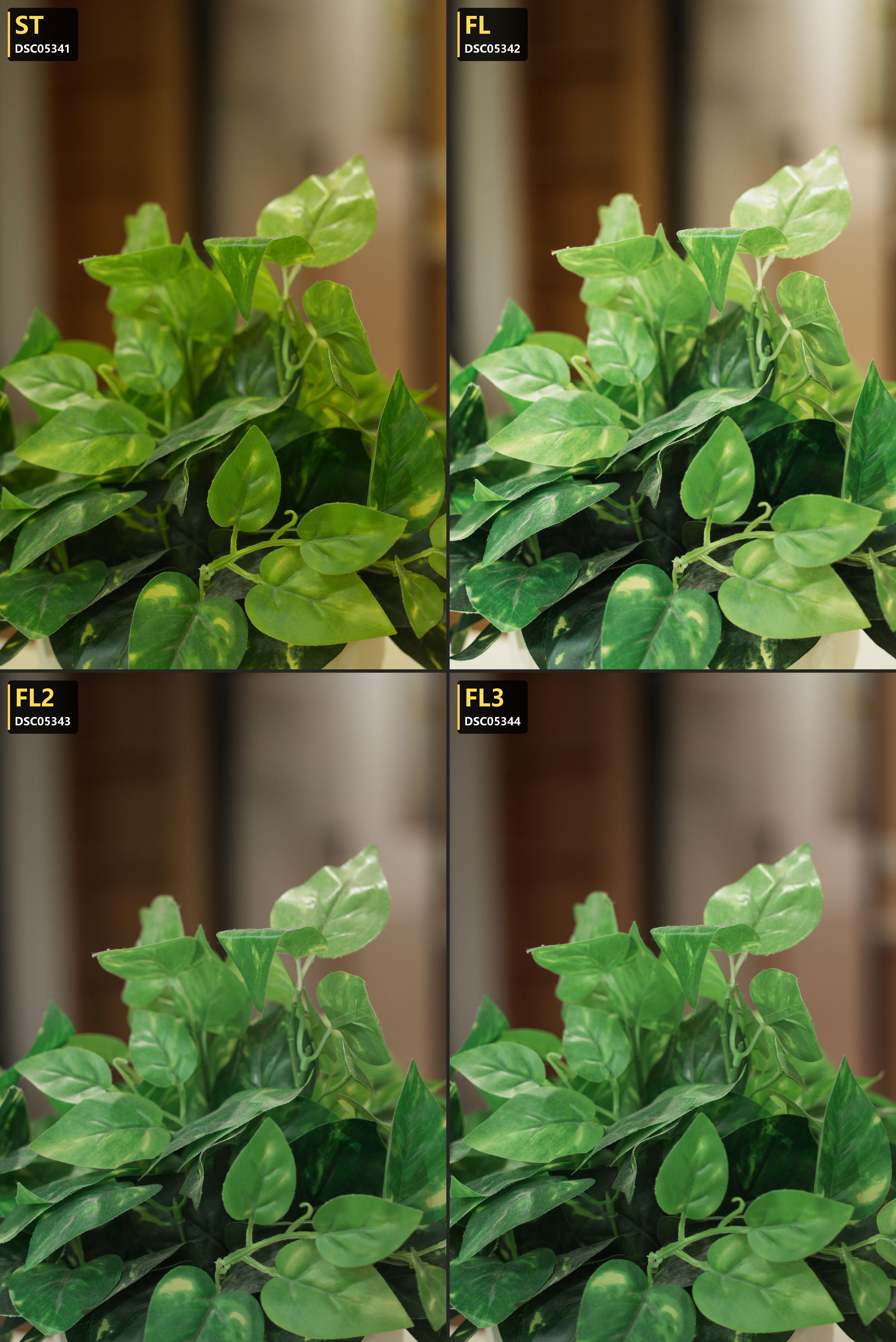 02 · Plants — ST / FL / FL2 / FL3