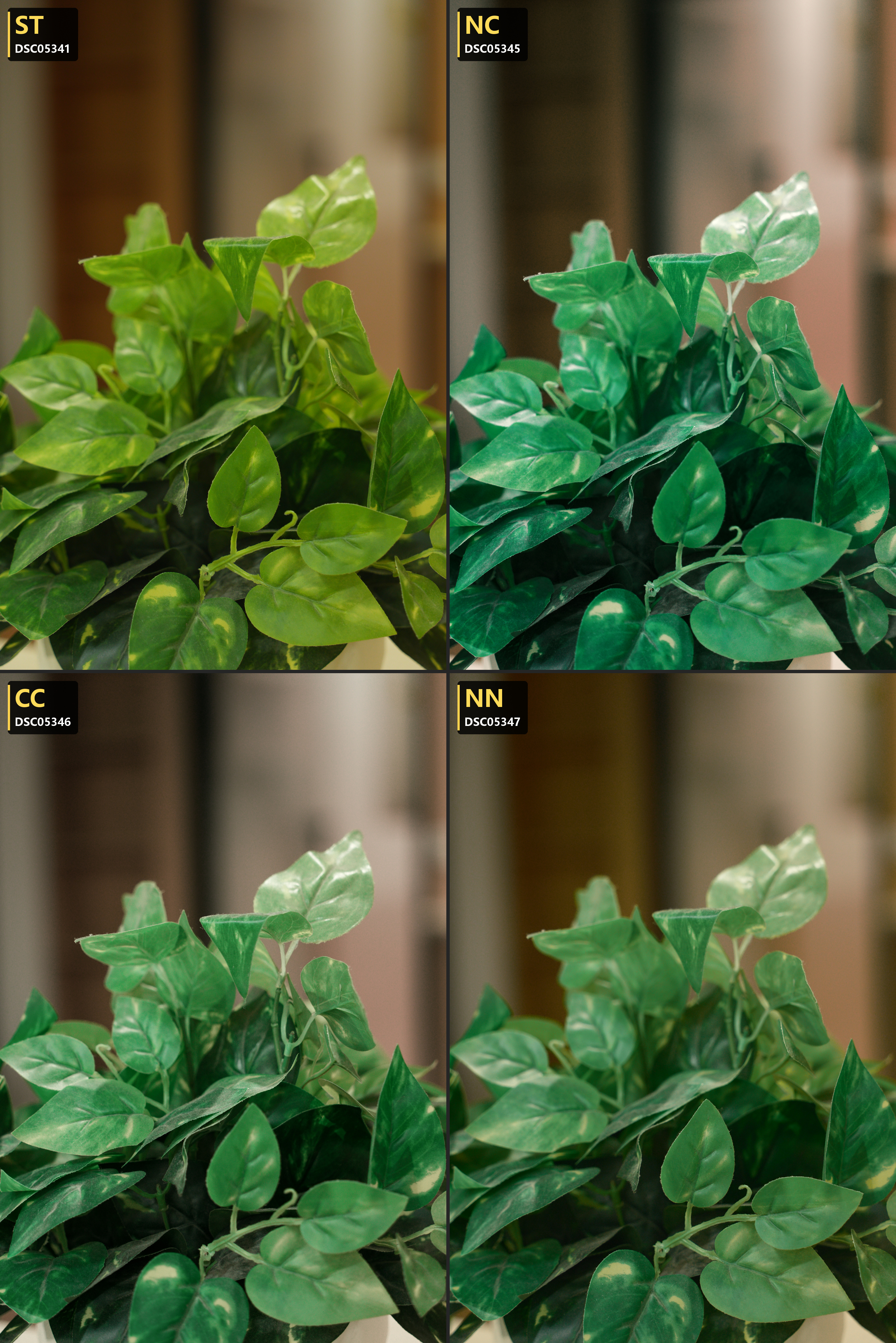 02 · Plants — ST / NC / CC / NN