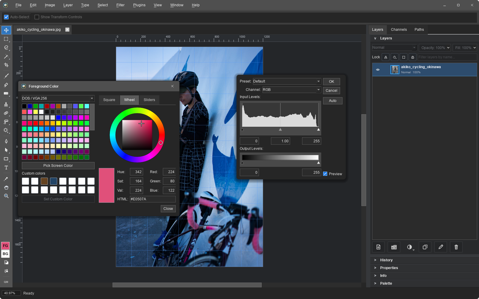 Levels adjustment dialog over an image with a live histogram and input and output controls