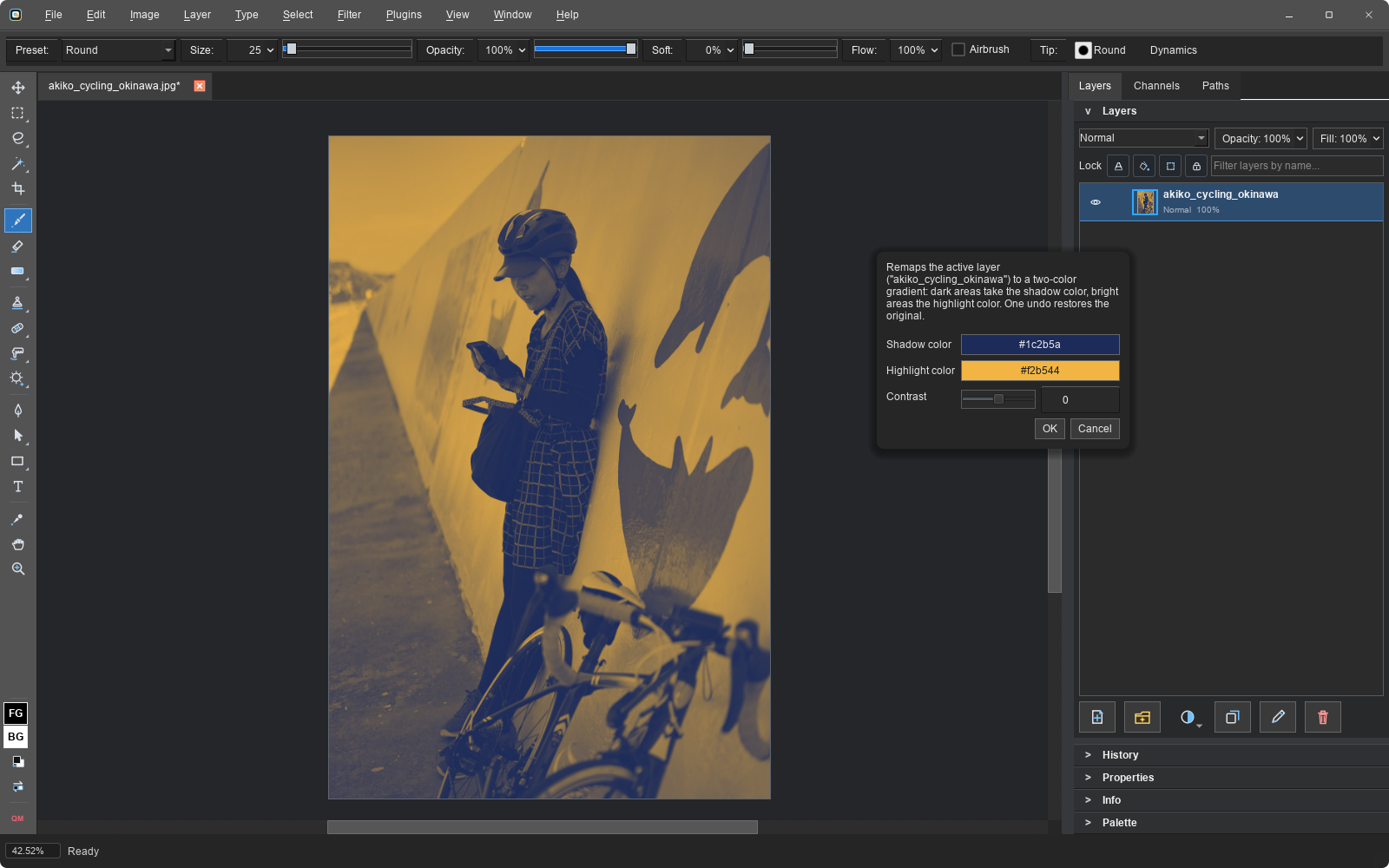 Duotone script options dialog with instructions, shadow and highlight color fields, and a contrast slider over a photo already remapped to navy and amber