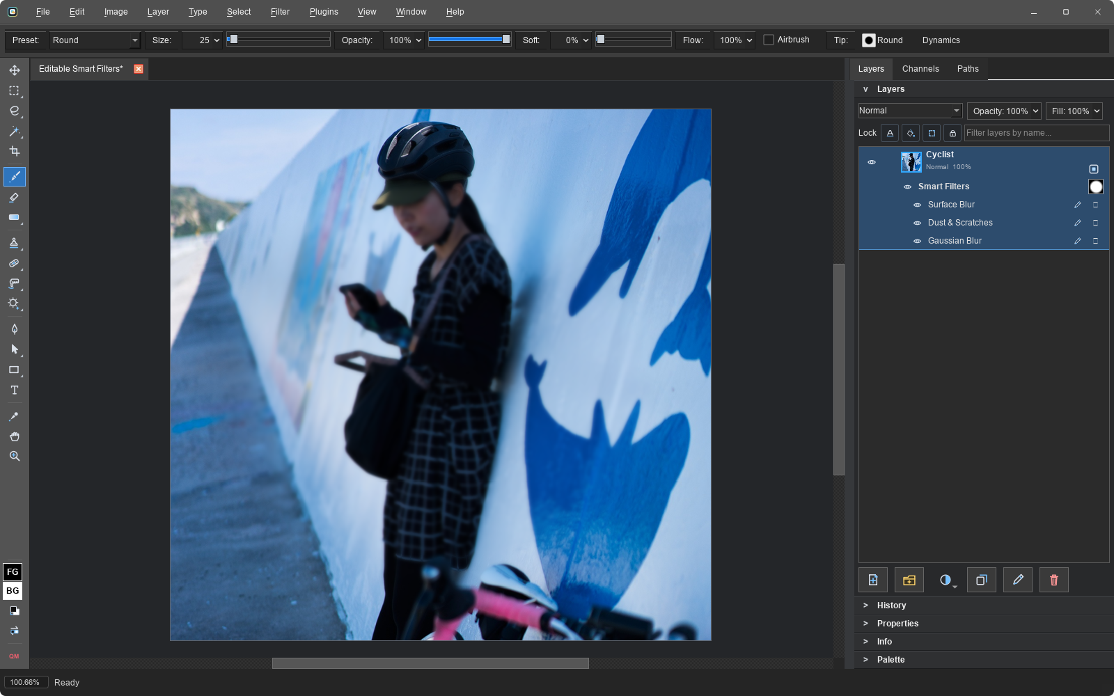 Photo with a Smart Filter stack containing Surface Blur, Dust and Scratches, and Gaussian Blur plus a shared mask