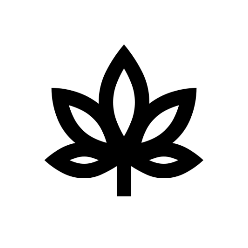 Wild KSU Logo