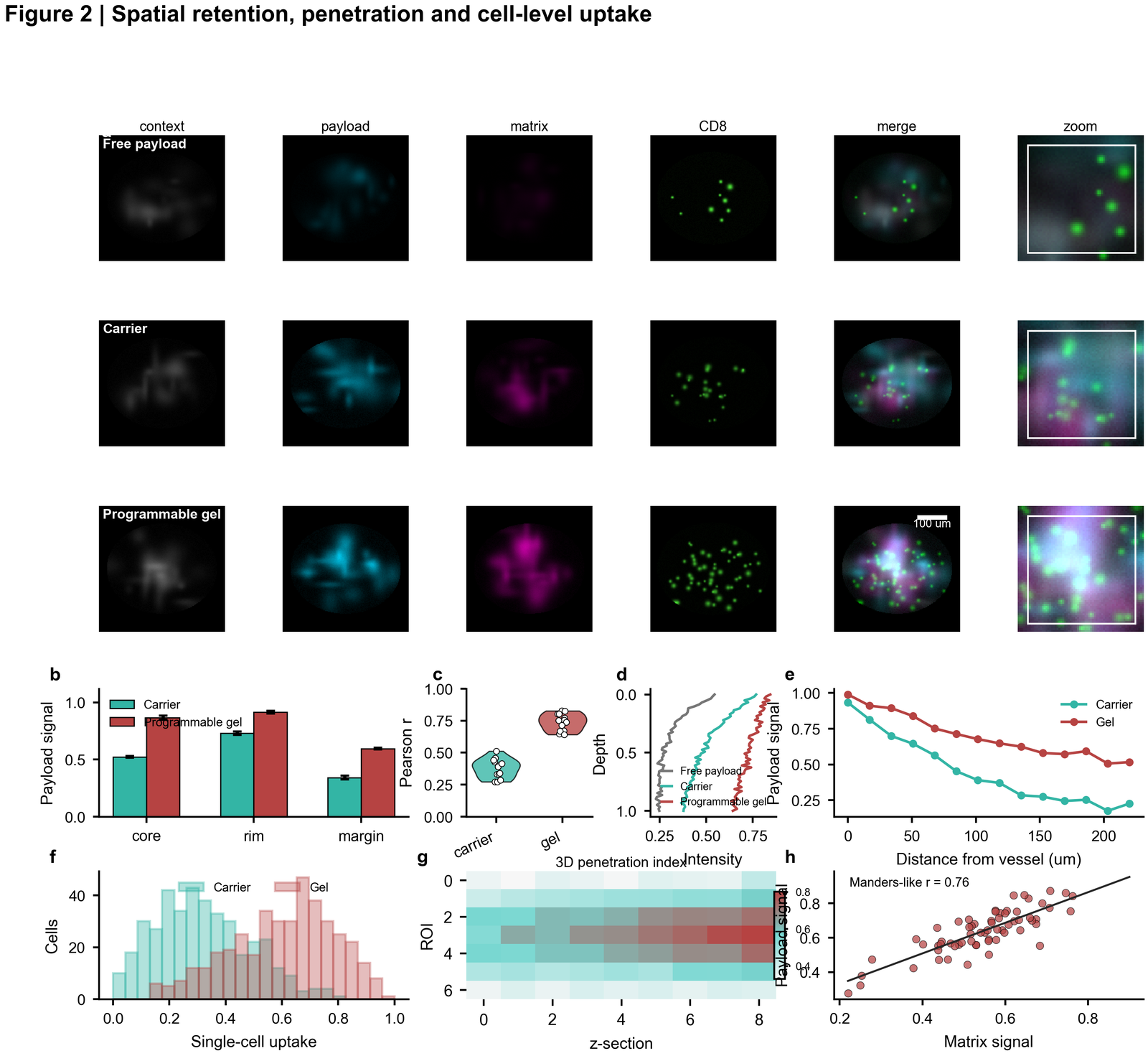 Spatial imaging and uptake