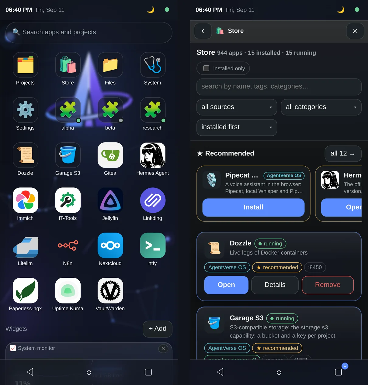Phone: home screen with apps and projects, the Store window