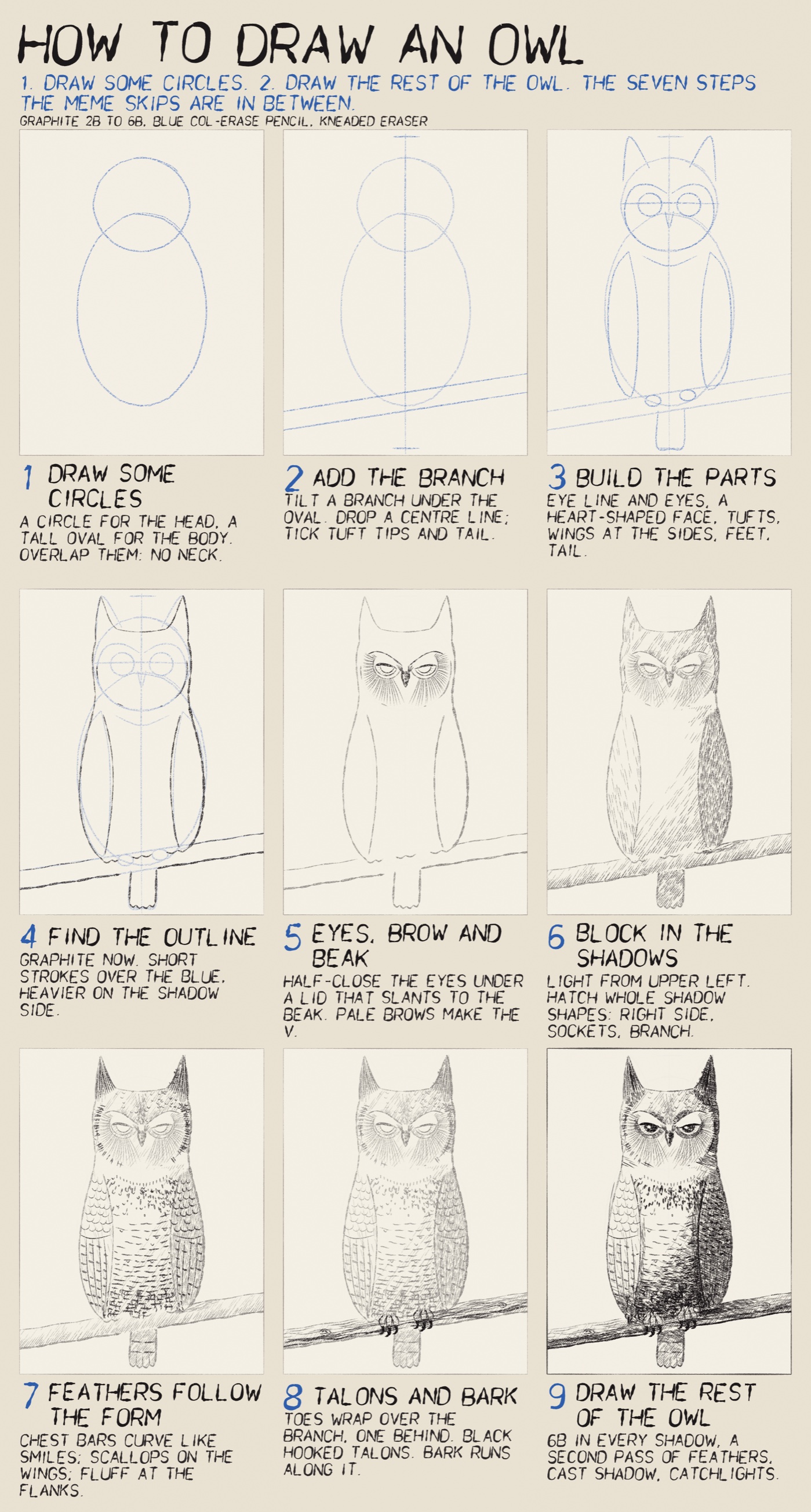 How to draw an owl in nine steps: from two circles through construction, outline, eyes, shadows and feathers, to the rest of the owl