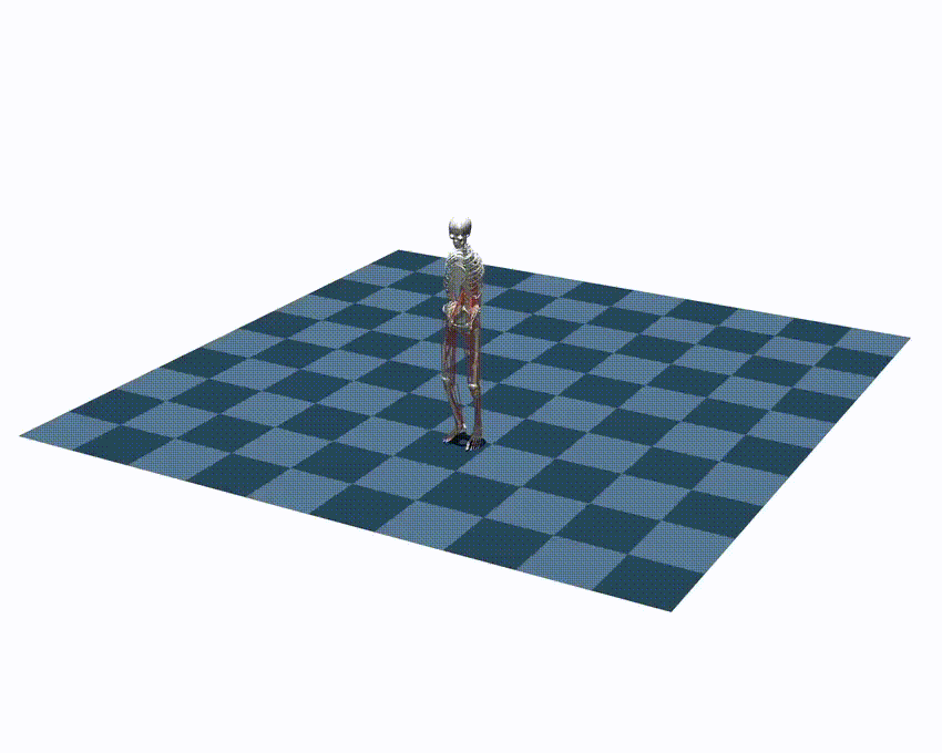 Walking Backwards
