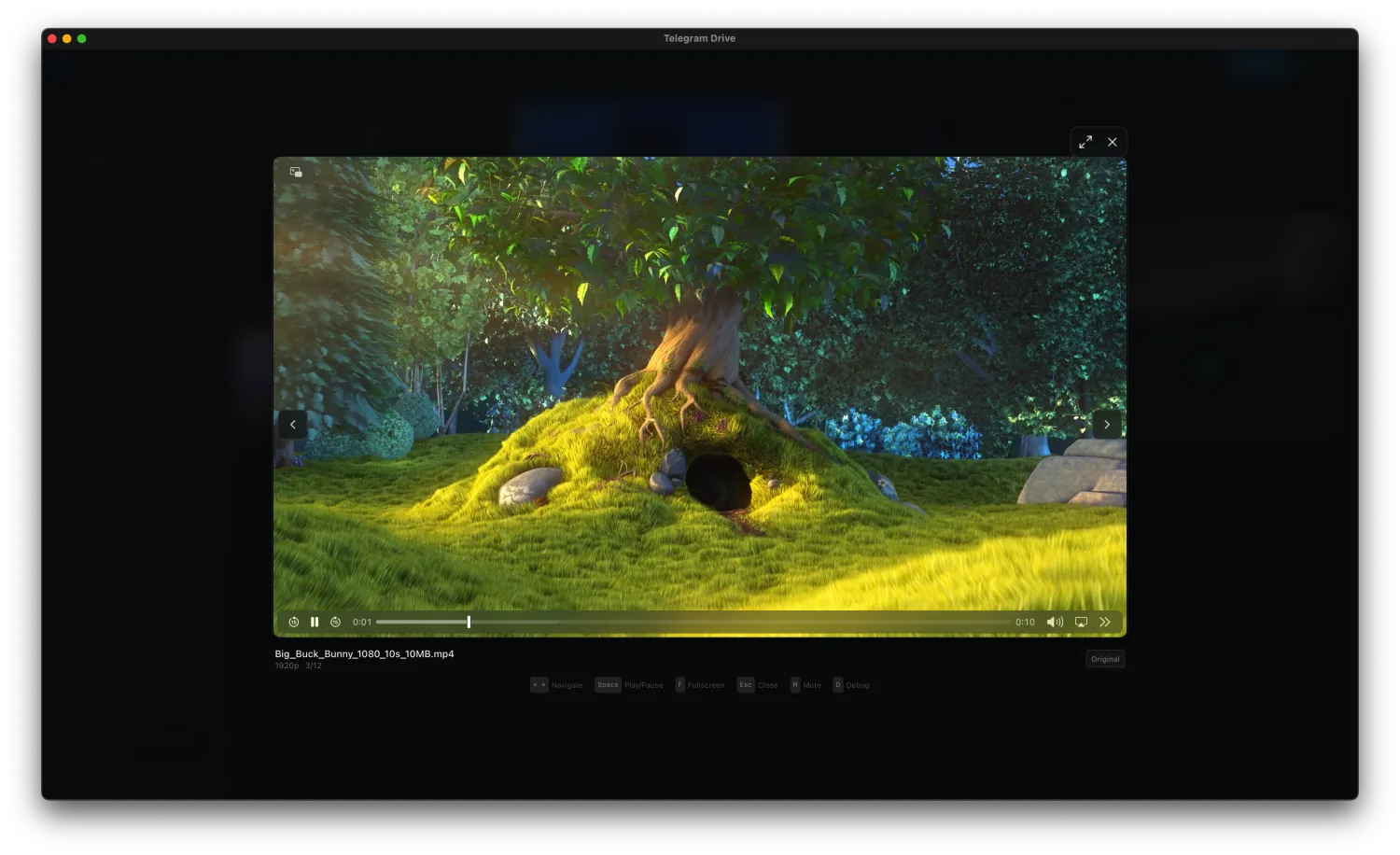 Telegram Drive desktop video player