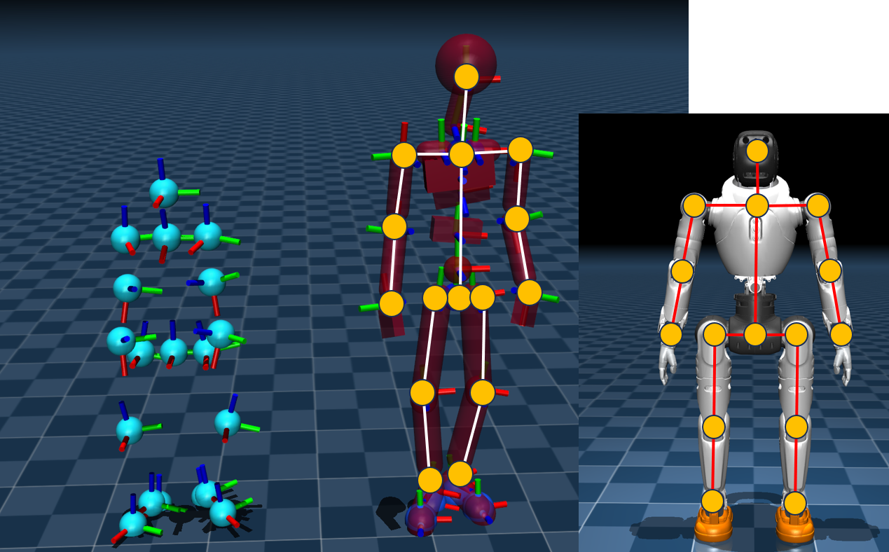 SMPL-X and agibot_x2 skeleton matching