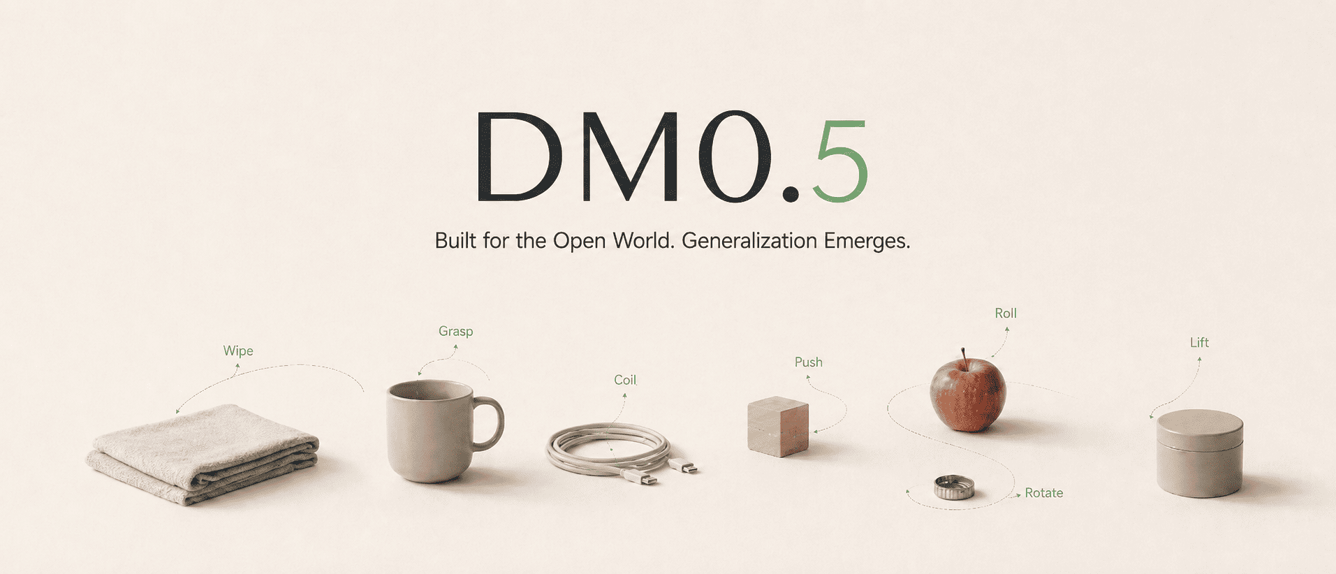 DM0.5