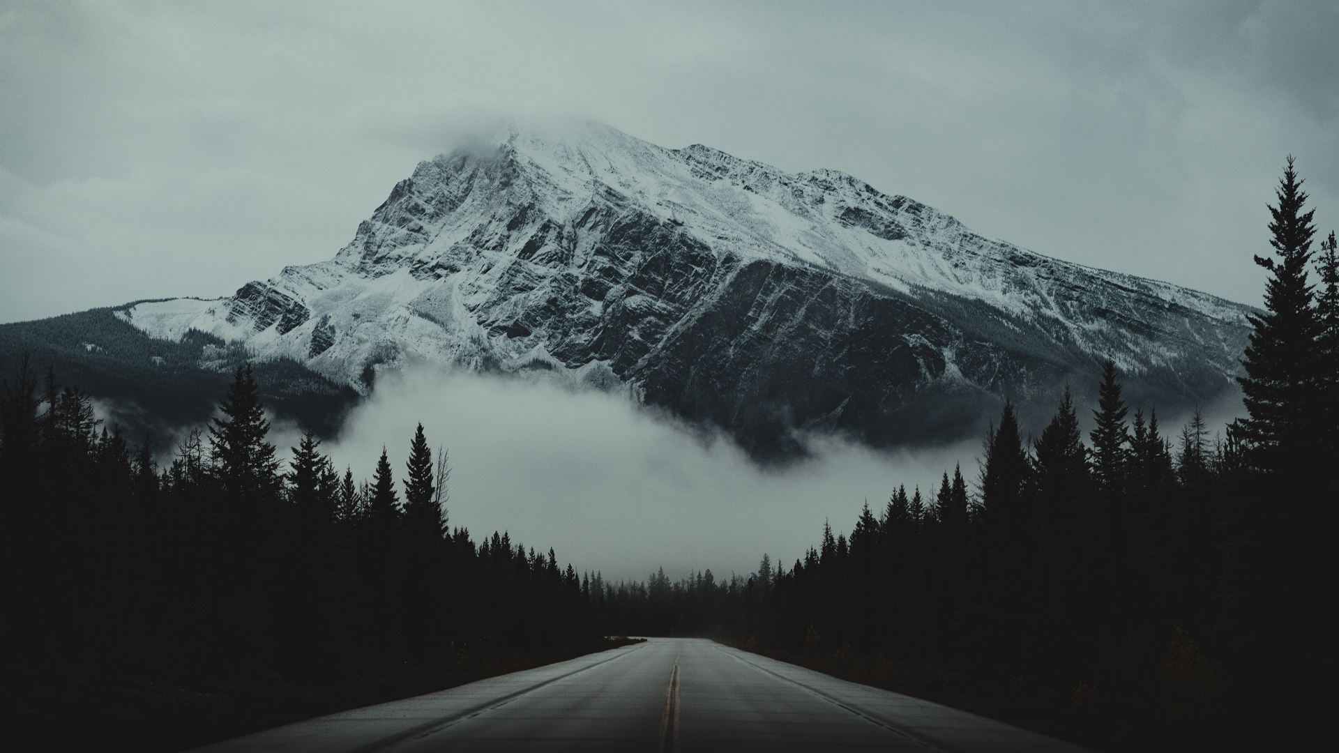 a_road_with_trees_and_a_mountain_in_the_background