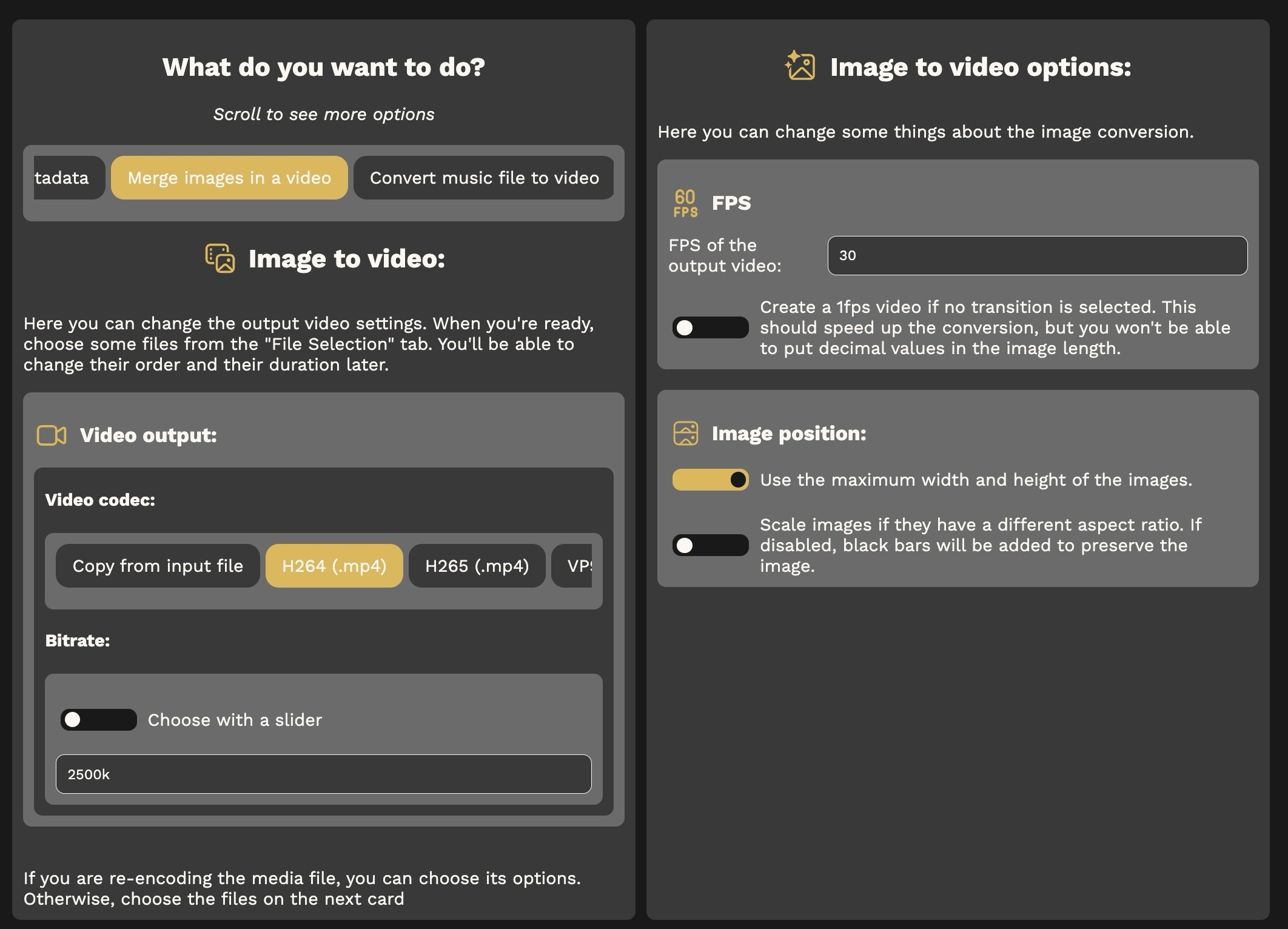 Image to video options