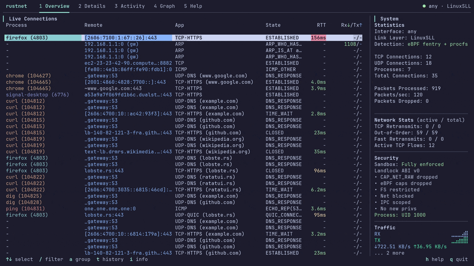 RustNet demo