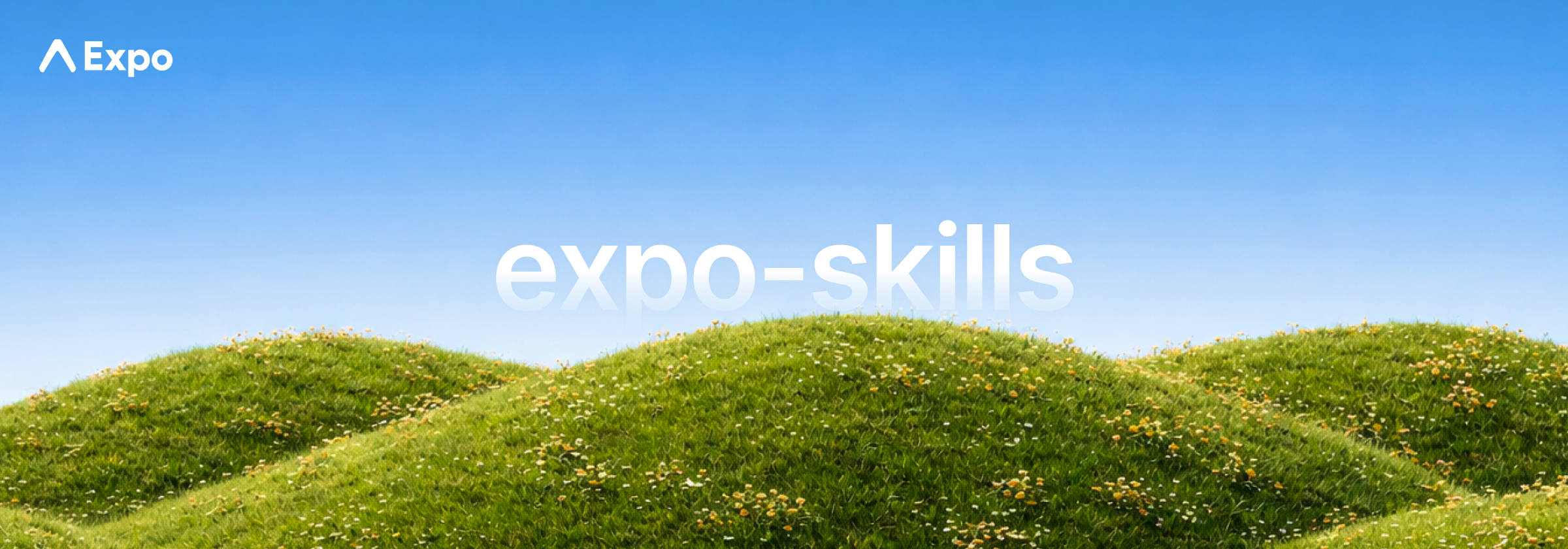 Expo Skills