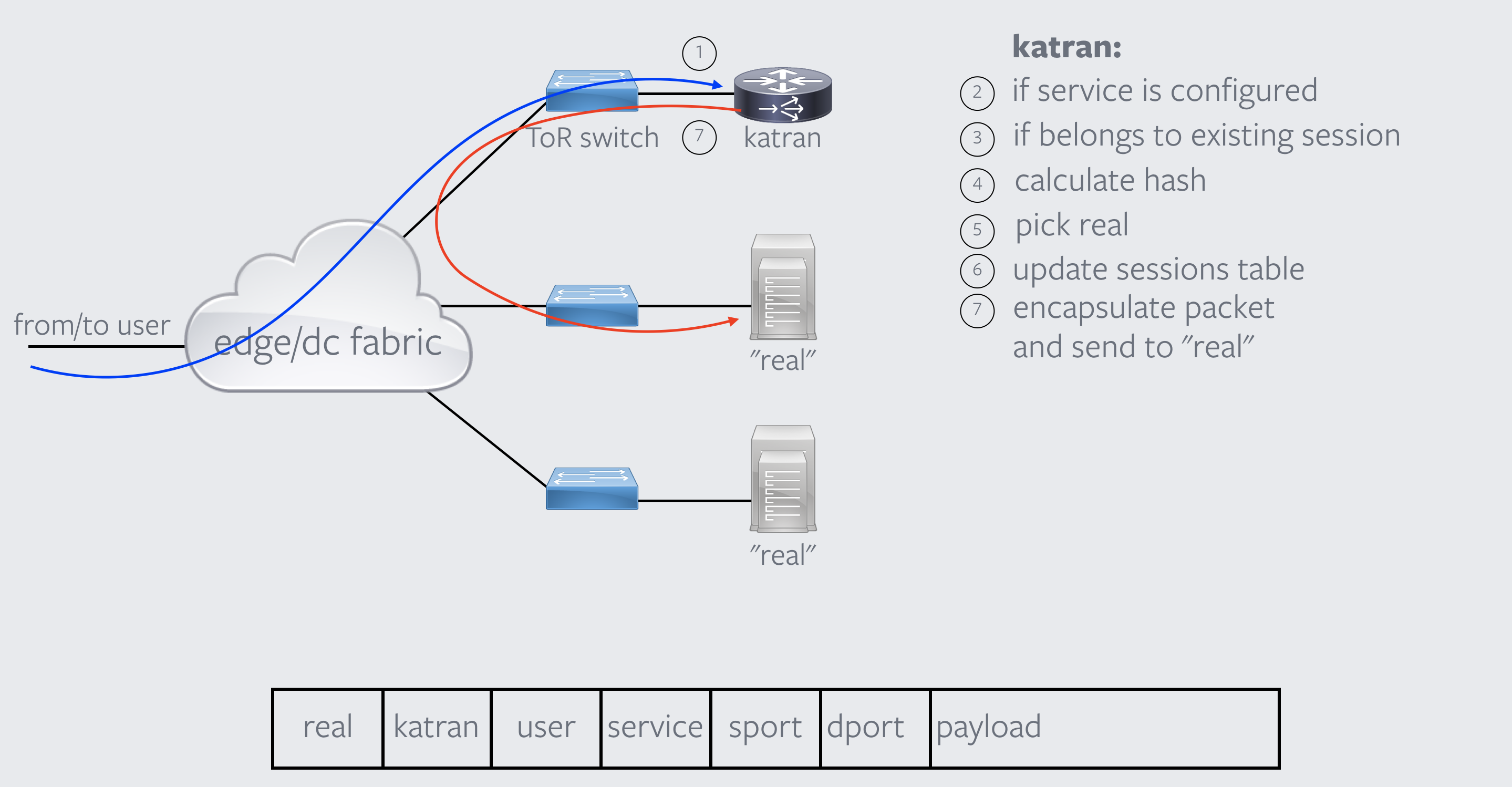 Network Topology alt text