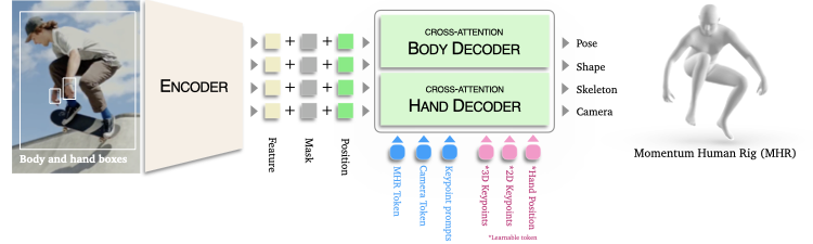 SAM 3D Body Model Architecture