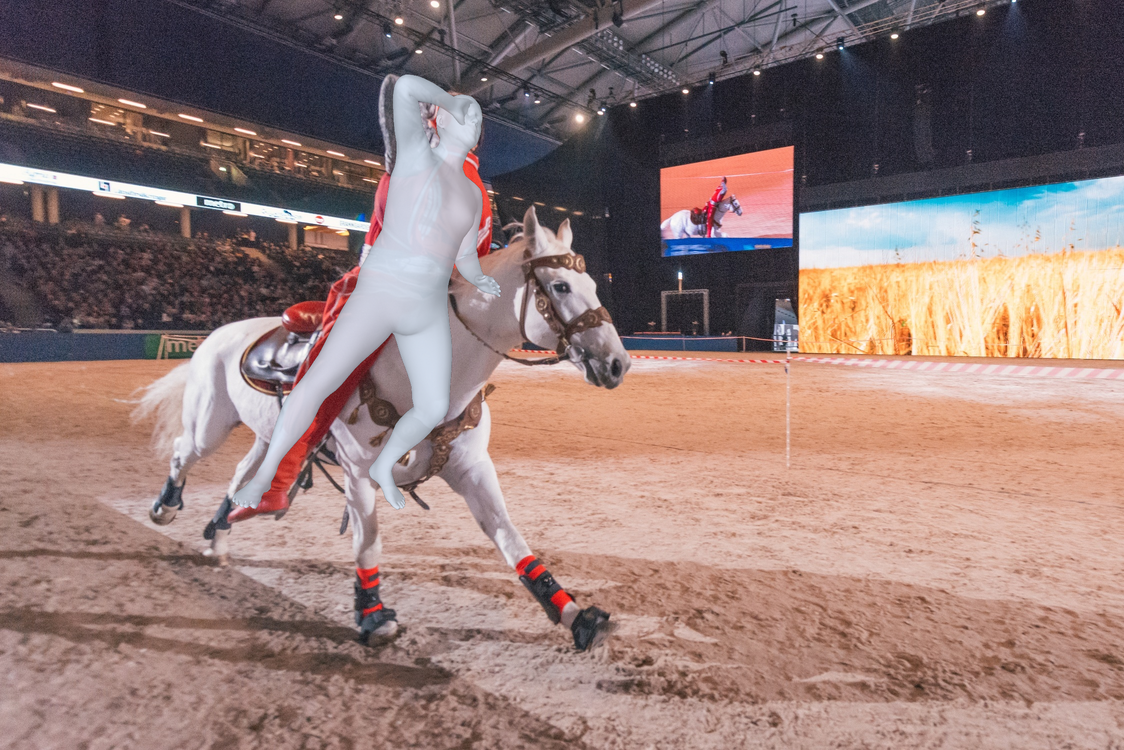 Sample 2 - CameraHMR