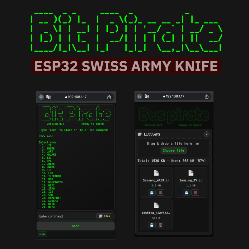 An iPhone screenshot showing the Bit Pirate firmware web interface