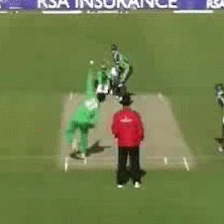 See
data/v_CricketShot_g04_c01_rgb.gif