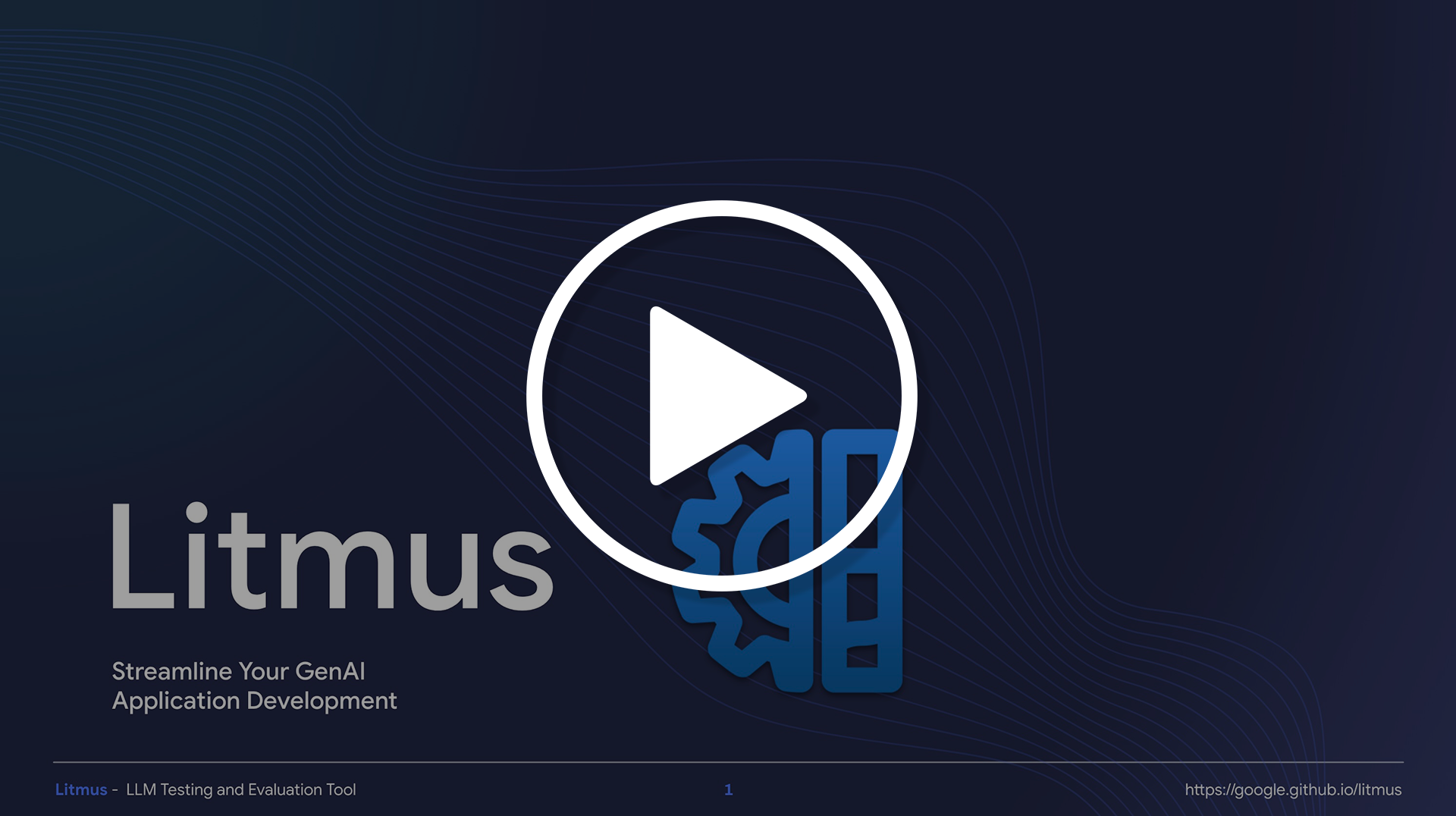 Litmus Video