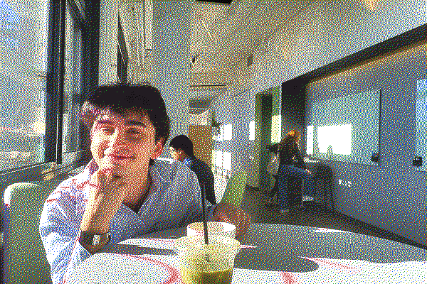 Dithered photo sample