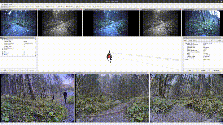 Camera Visualization