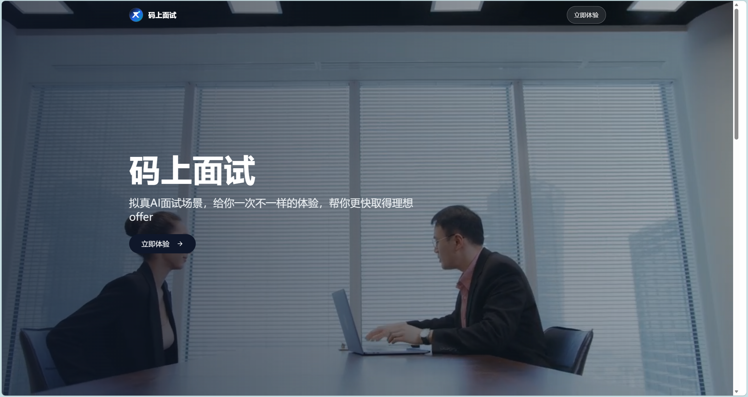 项目概览