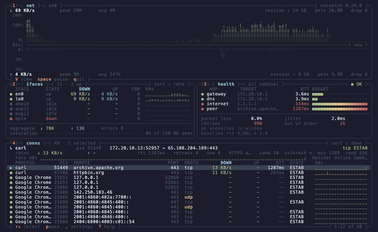 NetWatch's dense view: a mirrored braille throughput graph with download above the axis and upload below, per-interface rates with sparklines, four-hop latency budgets, and a connection table with the selected socket's kernel TCP state
