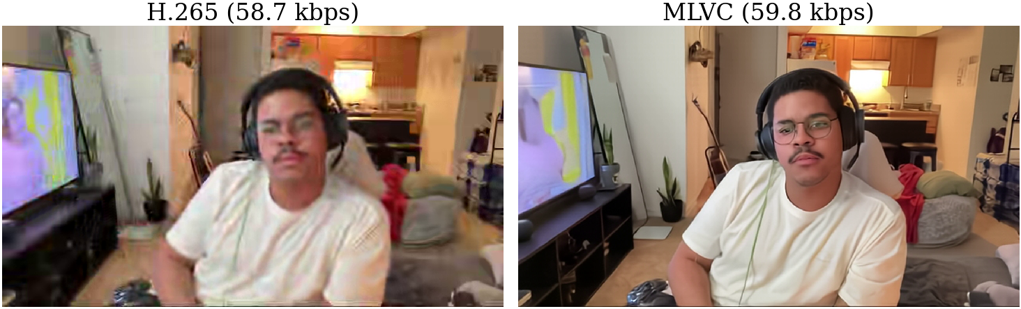 H.265 vs MLVC