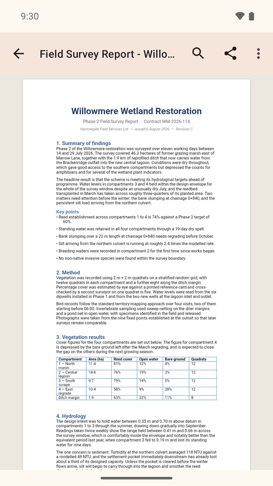 Word document viewer
