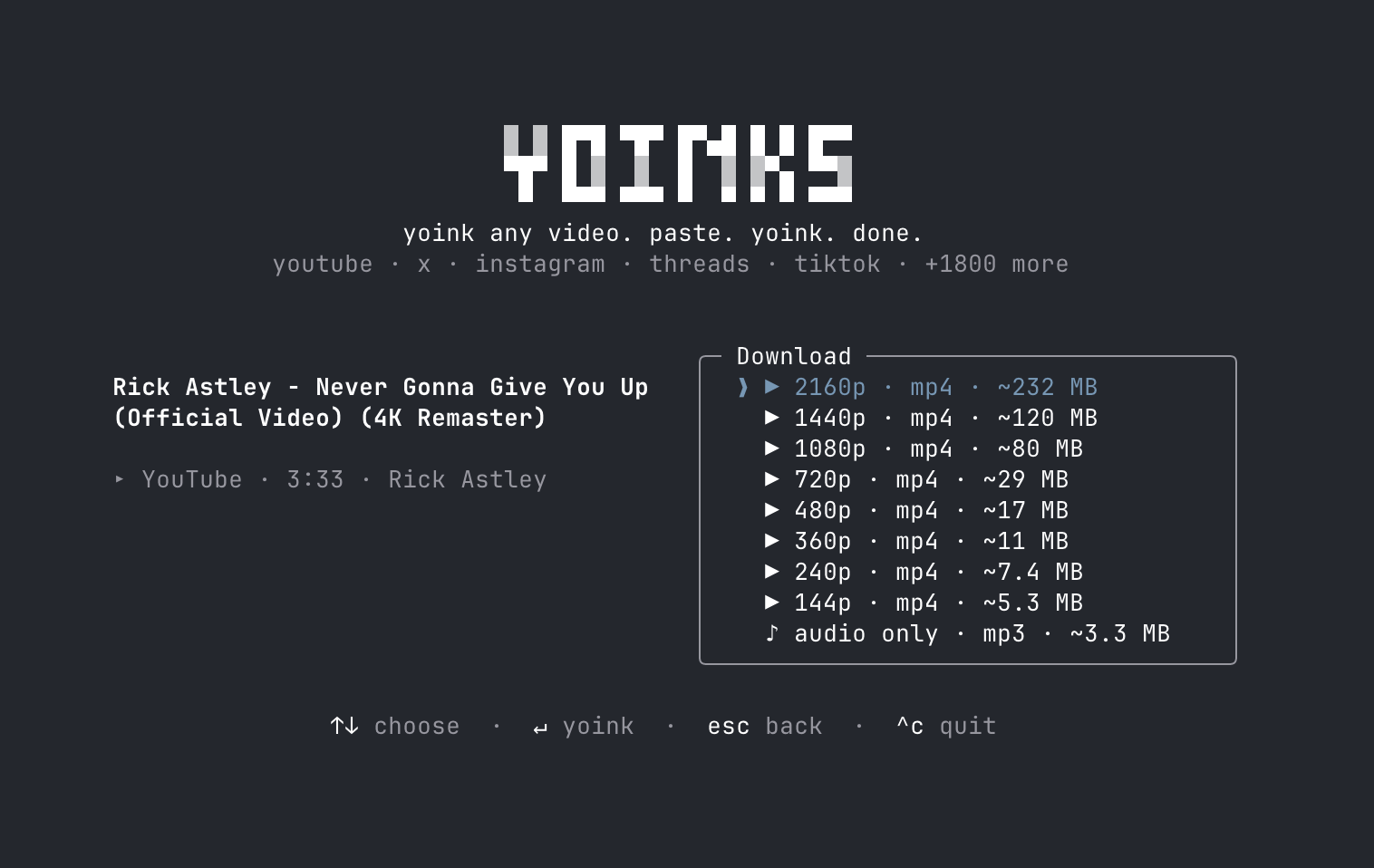 yoinks format picker — resolutions with estimated file sizes, plus audio-only mp3