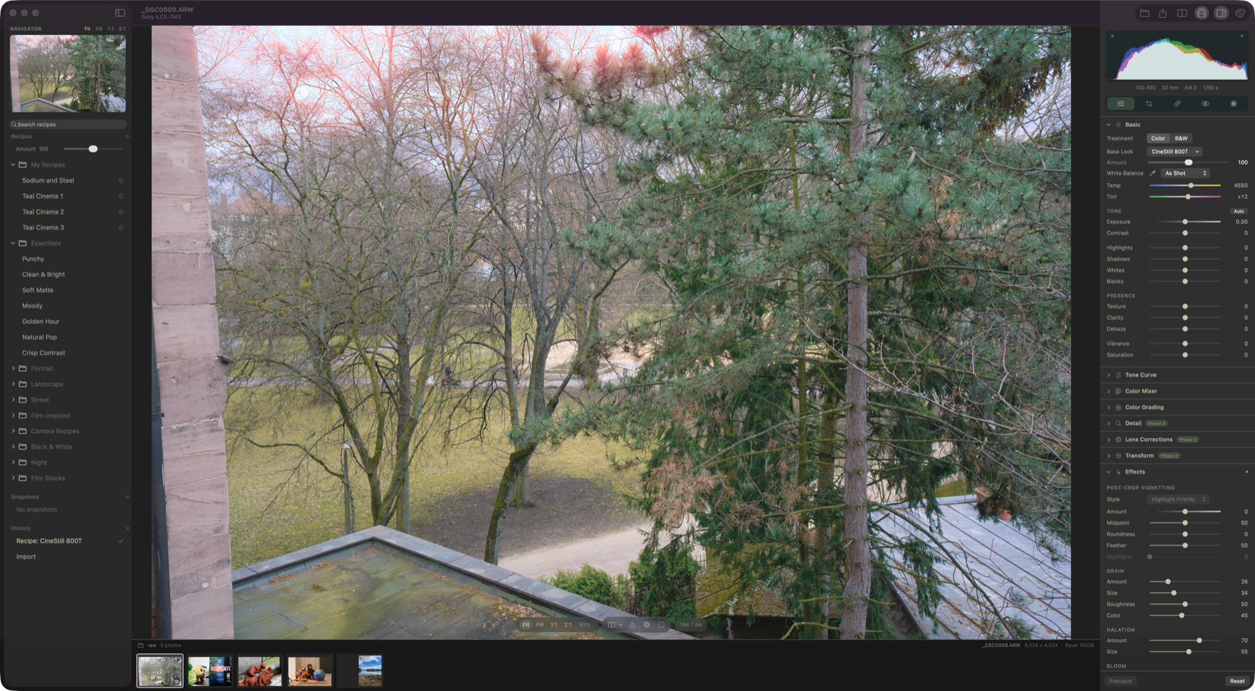 CineStill 800T applied in the editor, with its grain, halation and bloom in the Effects panel