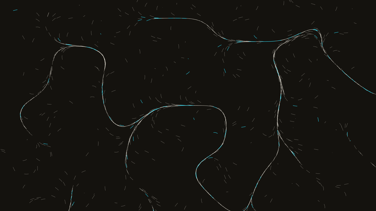 Flow Field