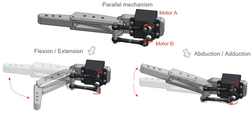 Finger Overview