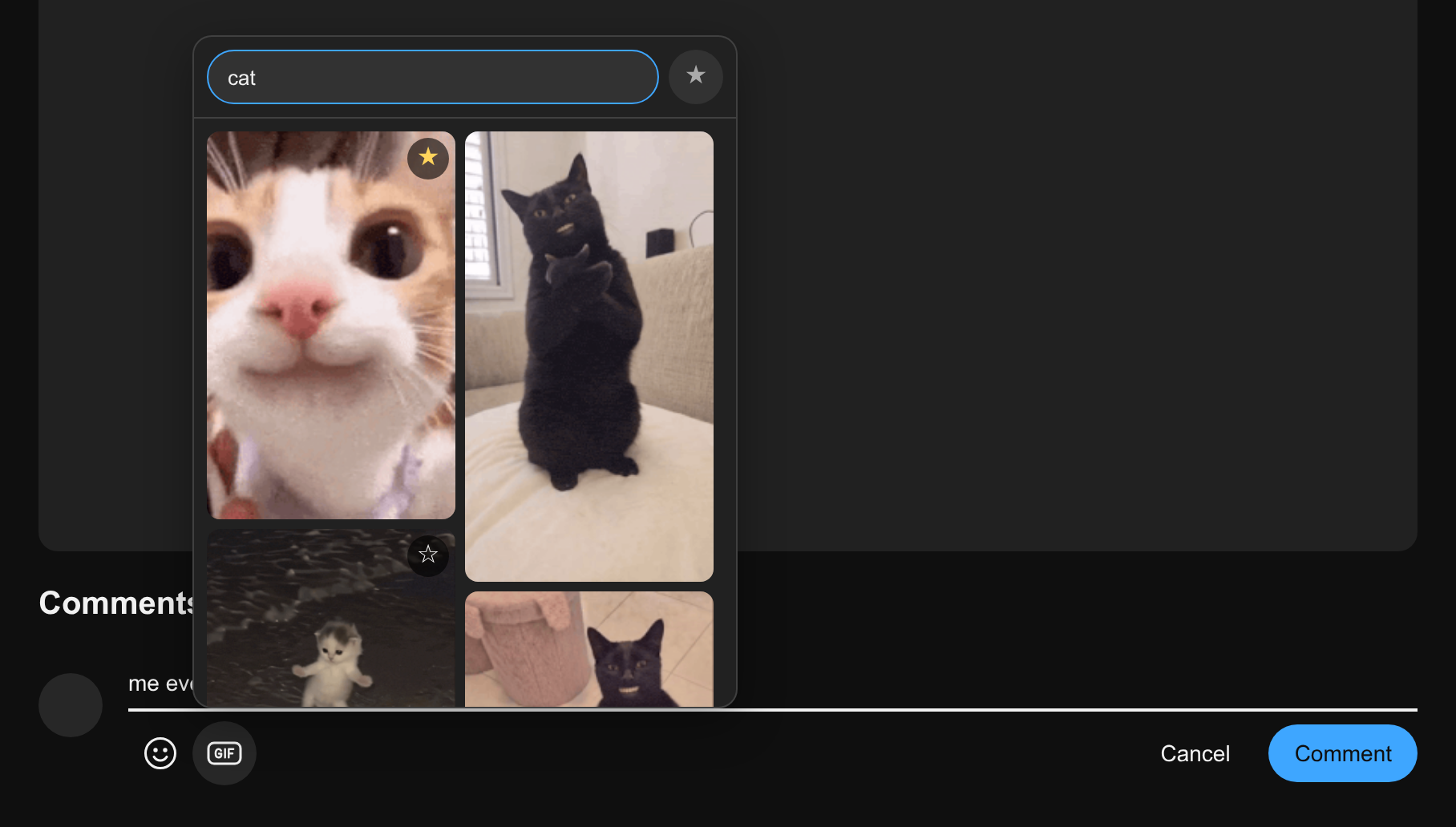 The GIF picker open above a comment box, showing search results for "cat", one of them starred as a favorite