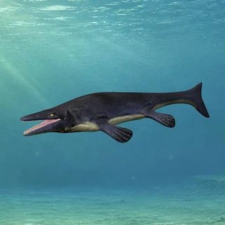 Mosasaurus against its underwater exhibit background