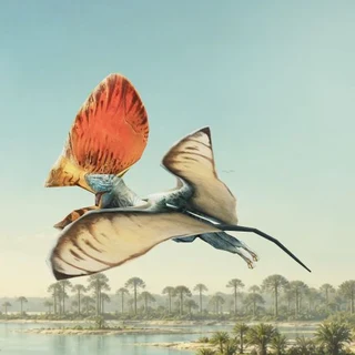Tupandactylus against its lakeside sky exhibit background