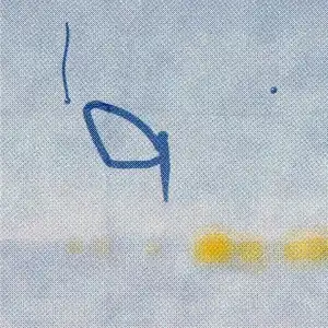 Passenger: the drawing in the fog, sunrise and ink, lift-off, the wings opening on the glass