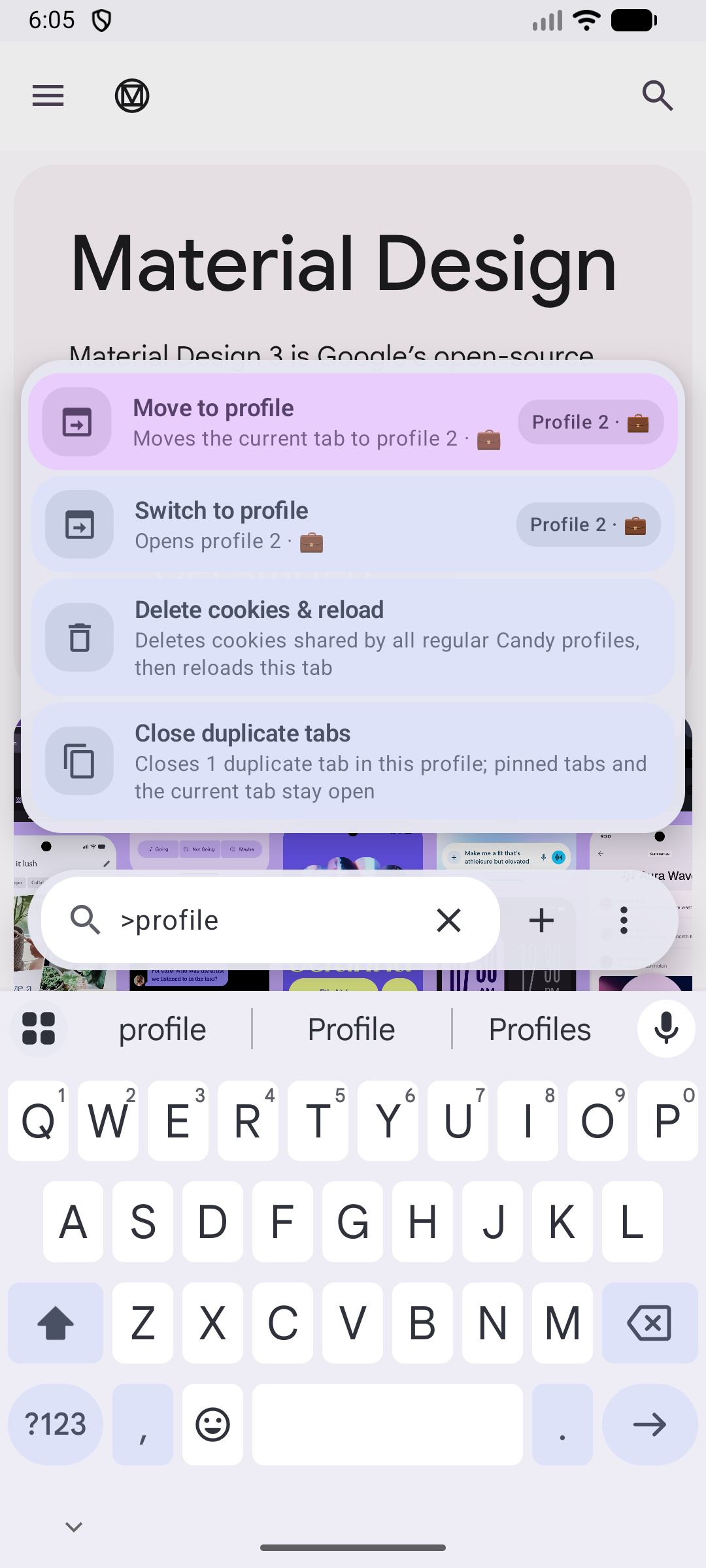 Candy Browser profile commands in the address bar
