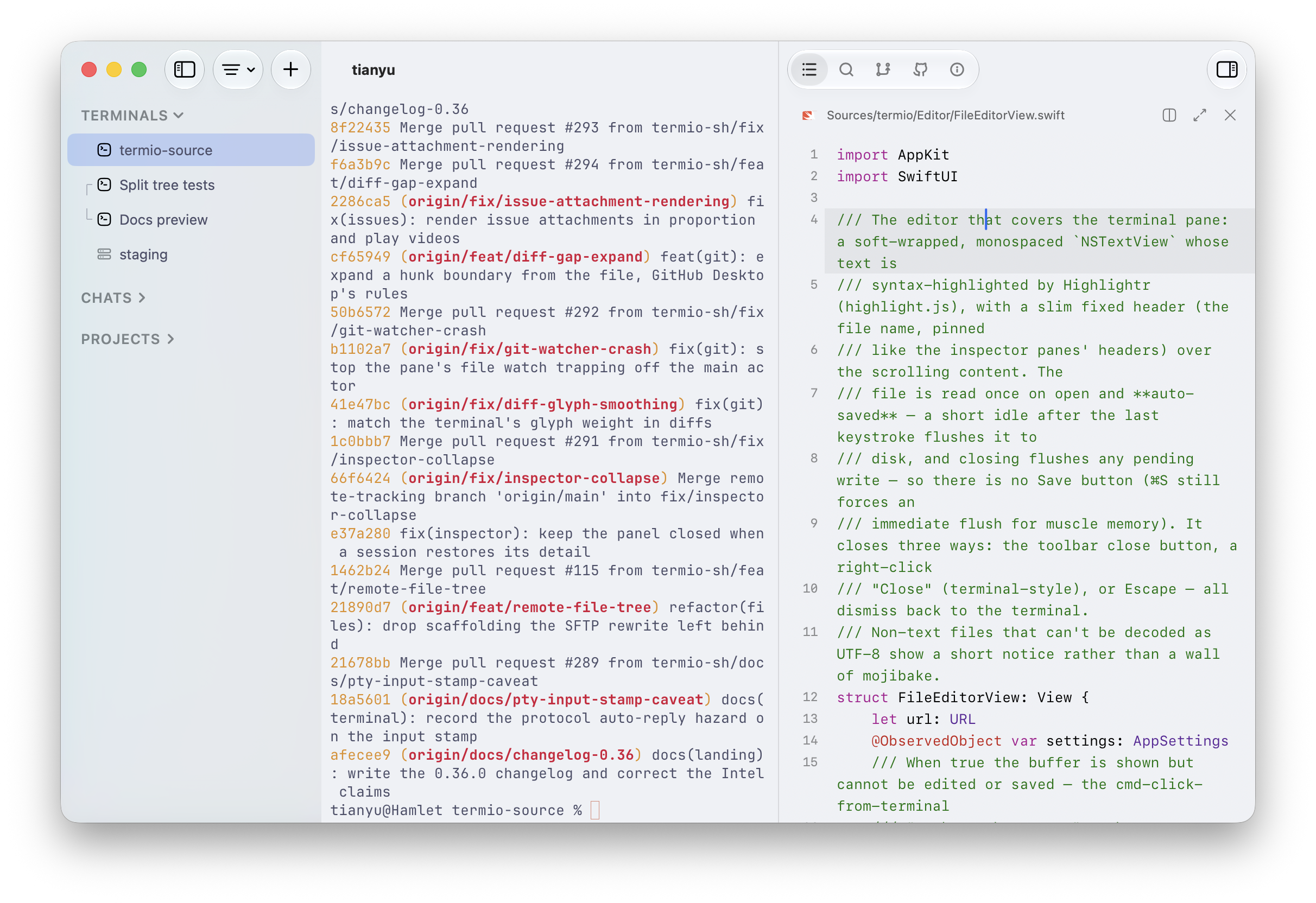 The Termio Files inspector with a Swift file open in the syntax-highlighted editor beside a terminal