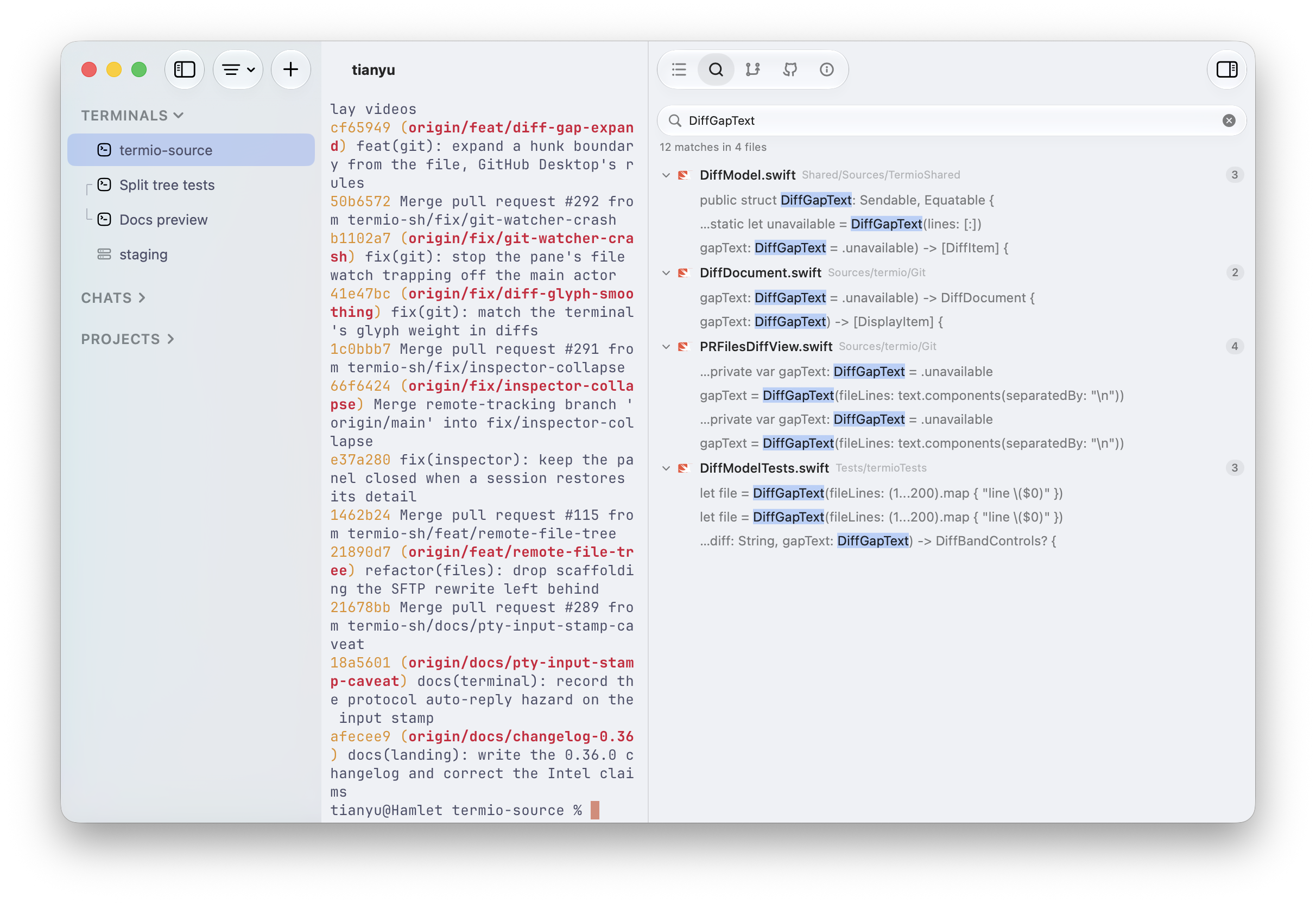 The Termio Search tab listing matches for DiffGapText across four files