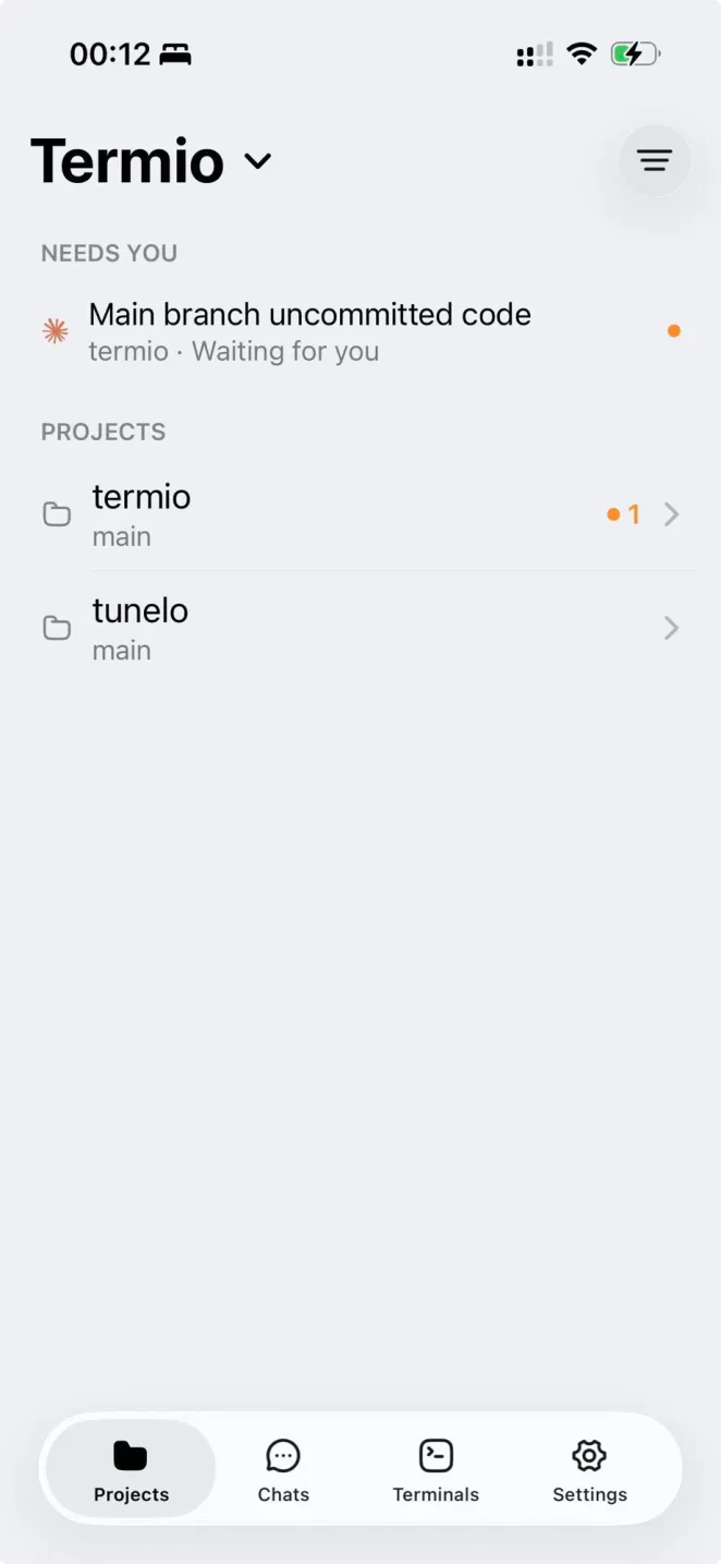 Termio on iPhone: the home screen, with Needs You above the projects
