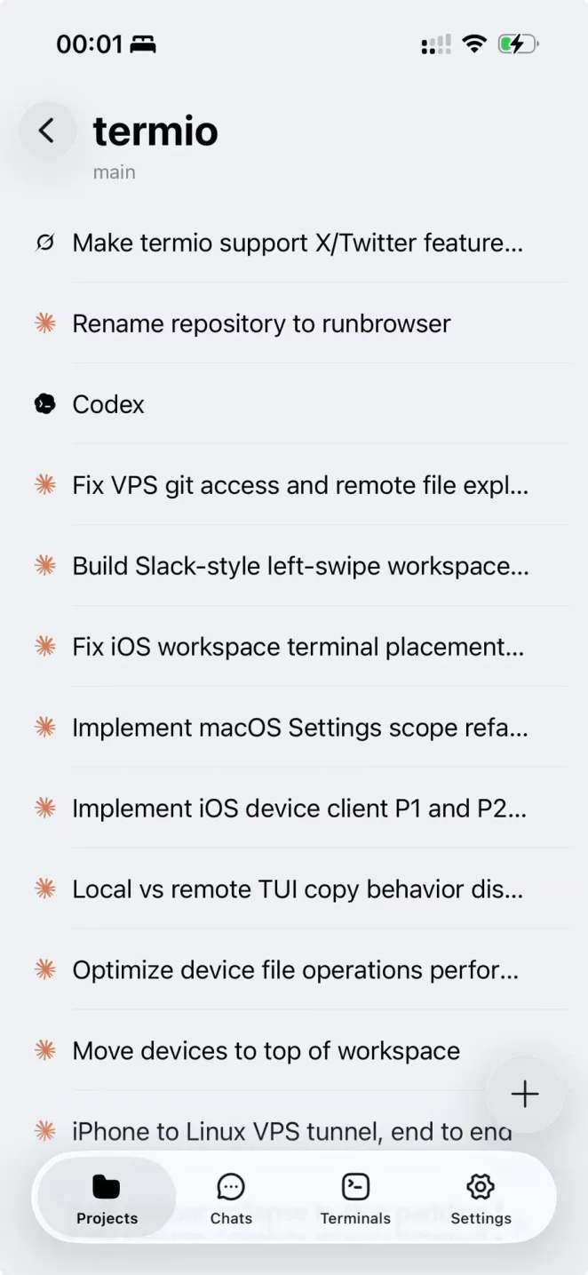 Termio on iPhone: the sessions in a project, each reporting its status